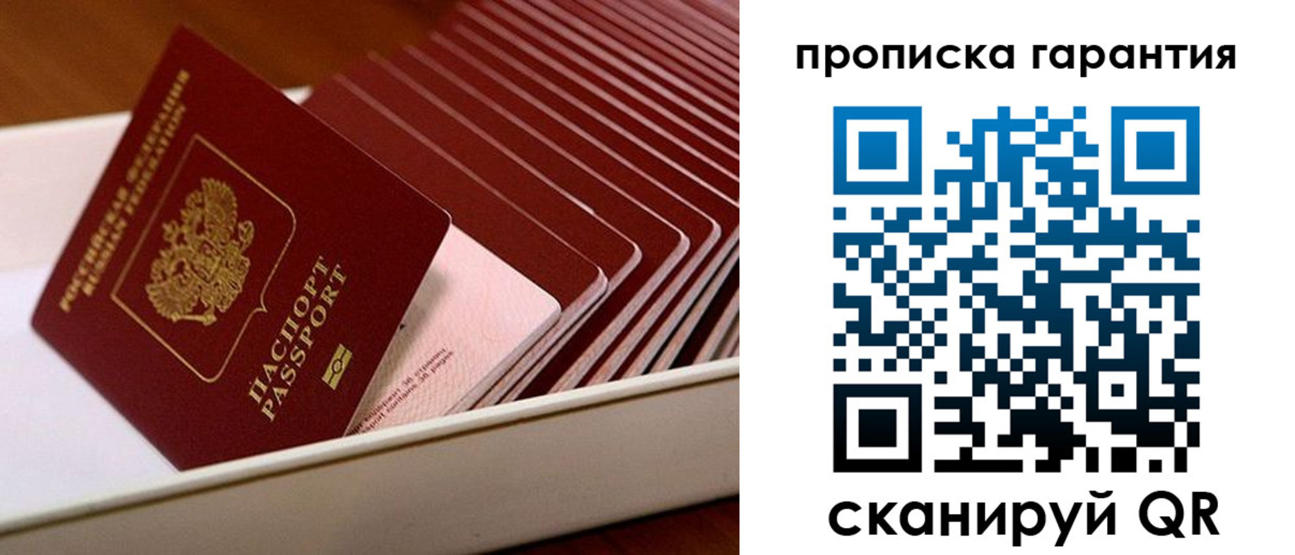 прописка поиск в Владикавказе
